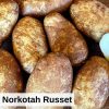 Certified Specialty Seed Potatoes by Poind